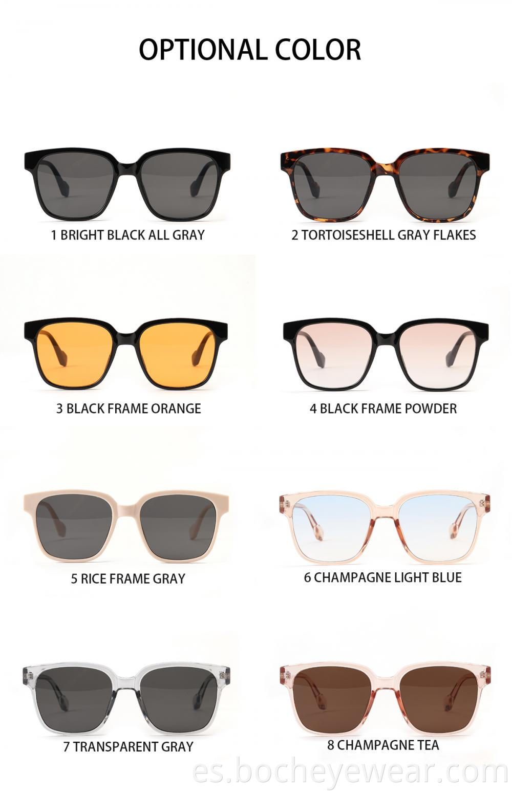 B313 Sunglasses